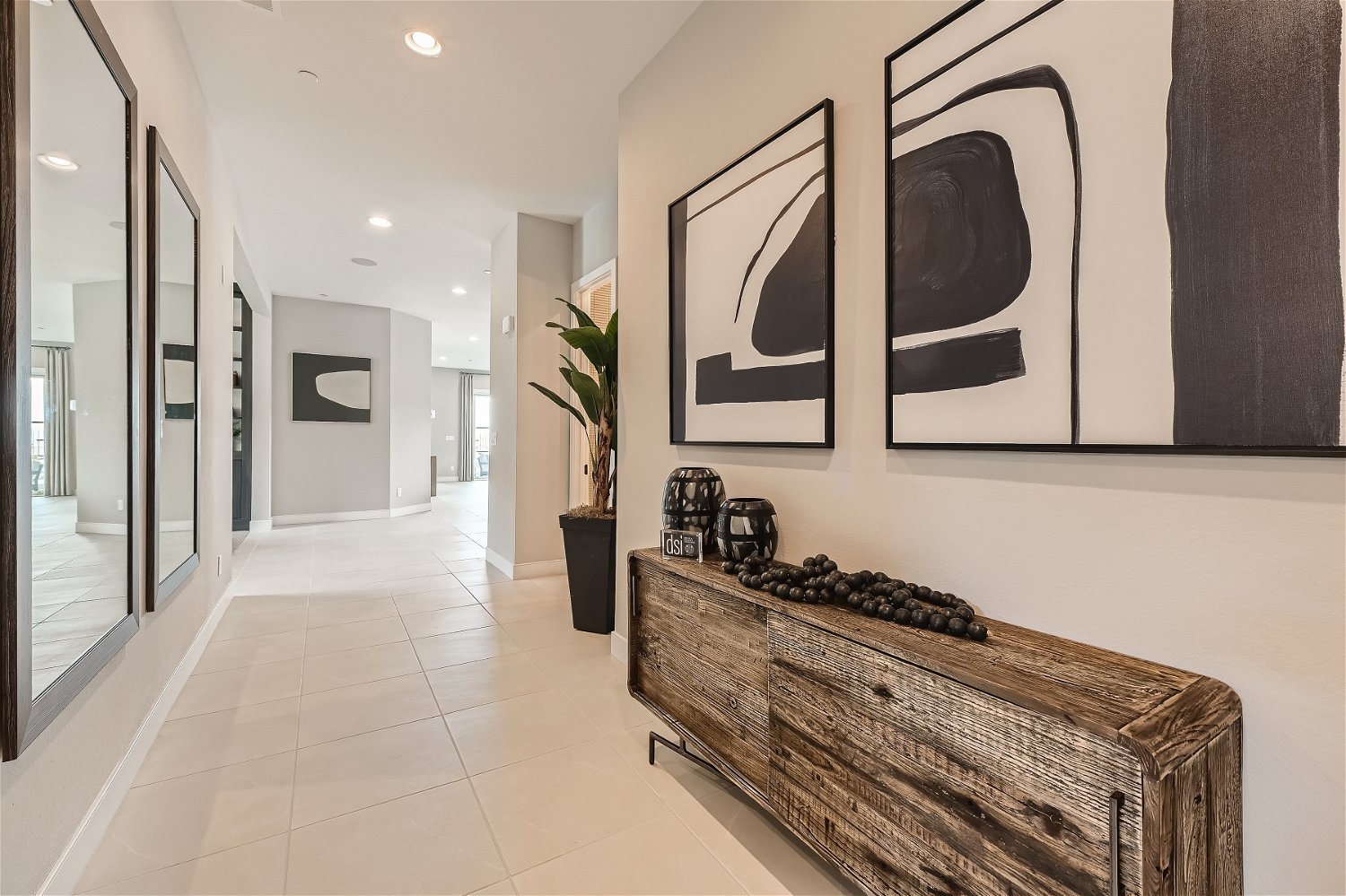 A room with a plant in it.