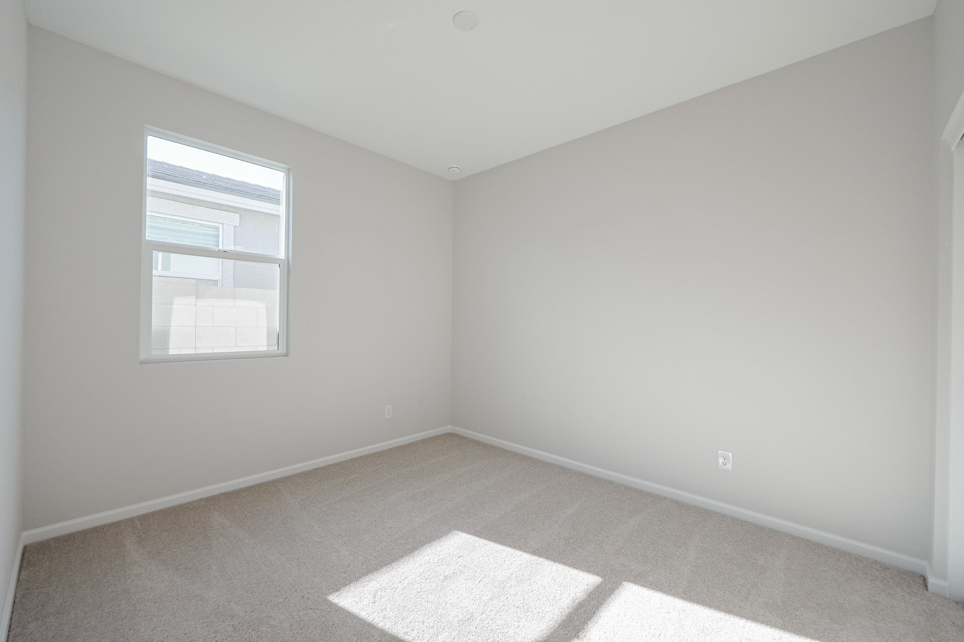 A room with a rug and a window.