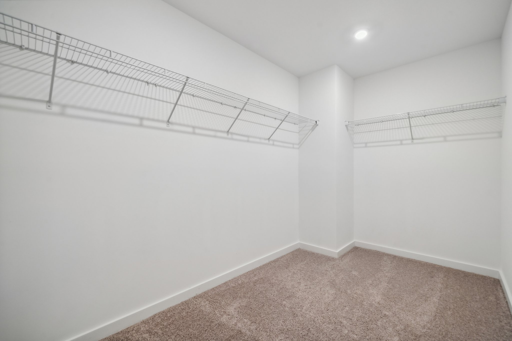 A room with a carpet and a metal railing.