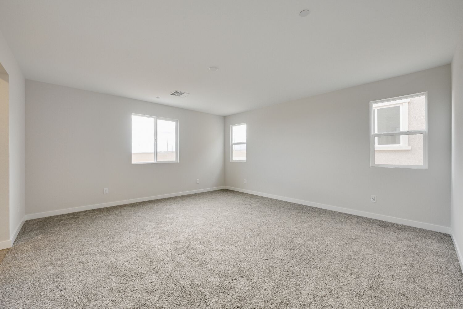 A room with a carpet and windows.