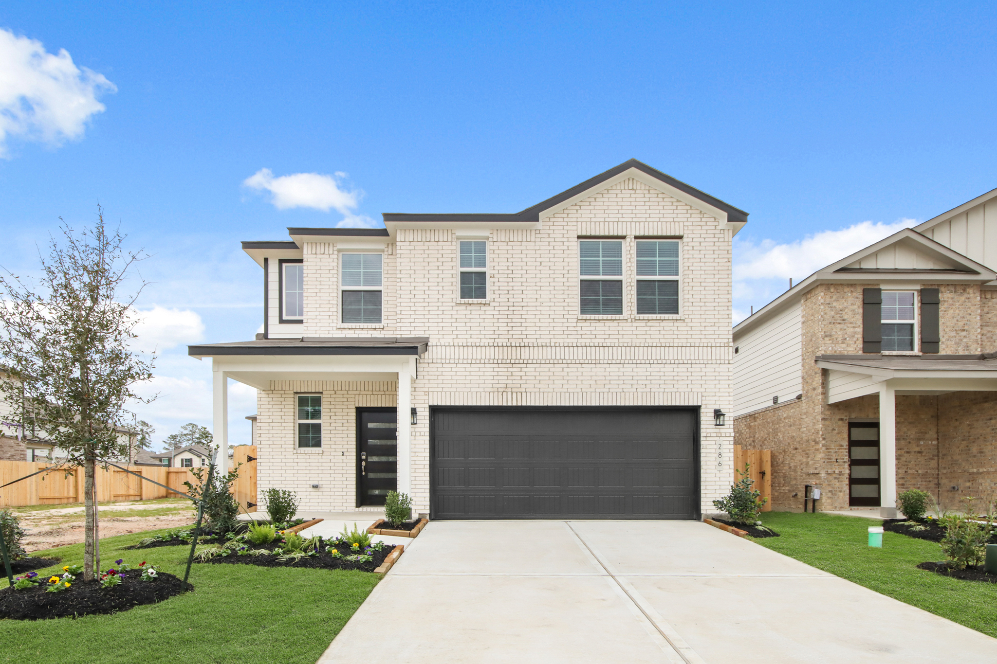 040406 286 Brazen Forest Trail