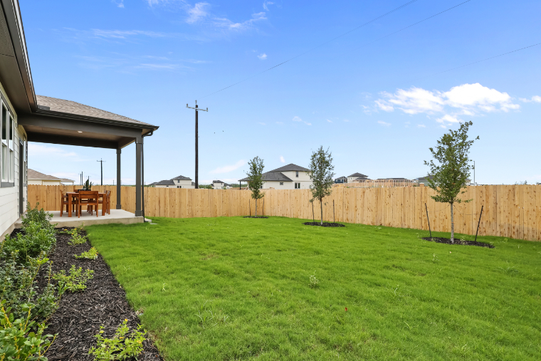 A backyard with a fence and a tree.