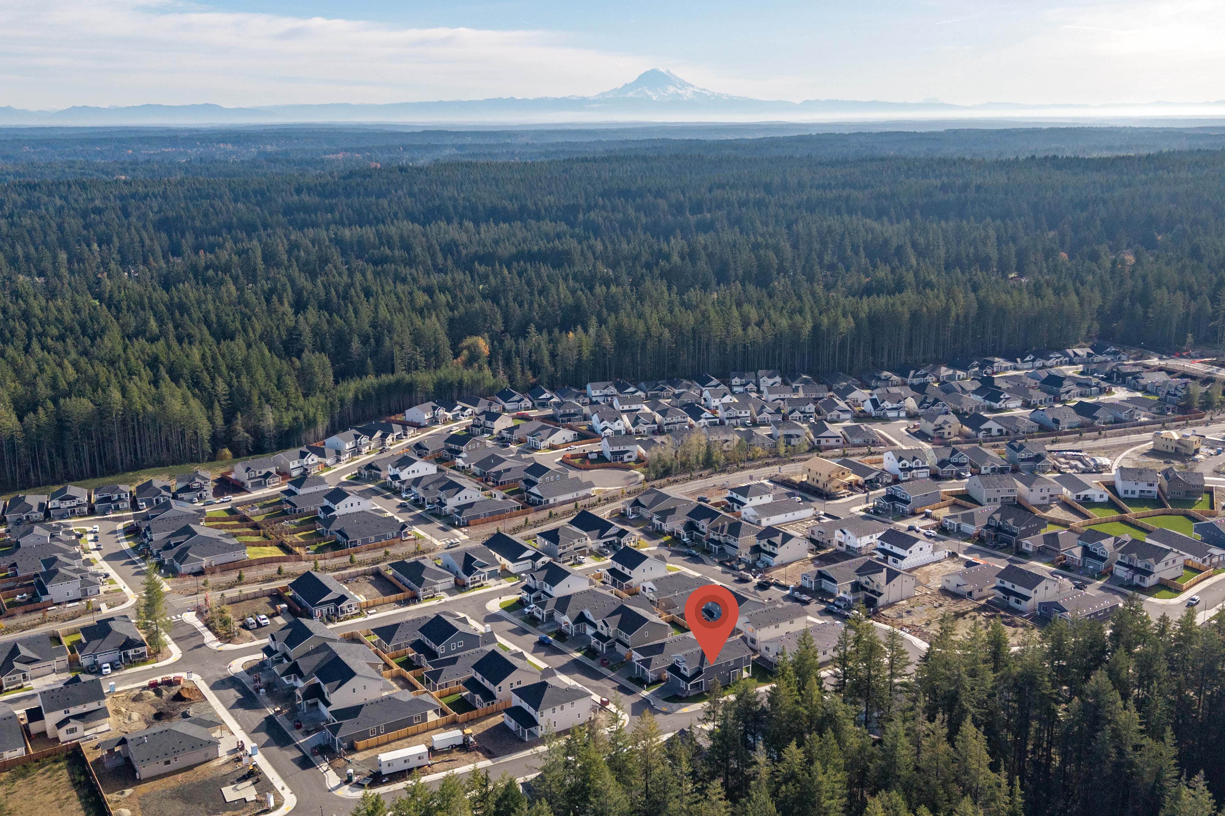 A landscape with trees and a road.